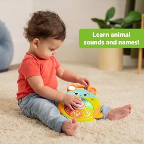 Bright Starts - Safari Surprise Multisensory Toy (BS-17161)