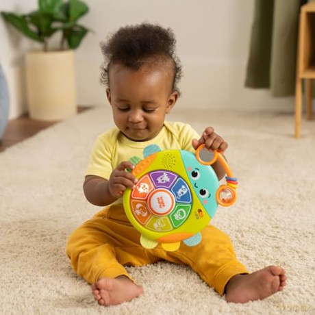 Bright Starts - Safari Surprise Multisensory Toy (BS-17161)