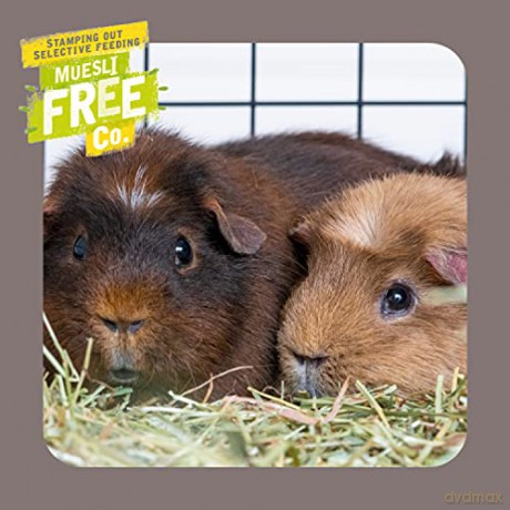 Burgess - Guinea pig Nuggets INDOOR 1,5kg - best before 15th oct-2026