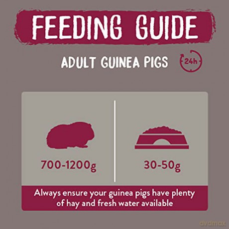 Burgess - Guinea pig Nuggets INDOOR 1,5kg - best before 15th oct-2026