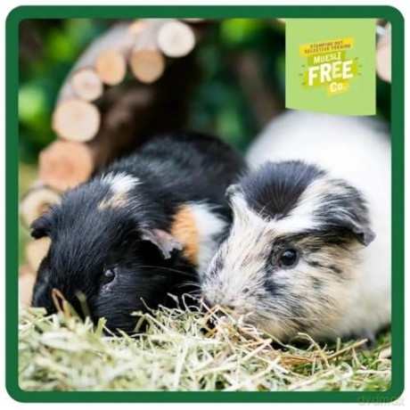 Burgess - Guinea pigs nuggets with Mint - 1.5 kg - best before 17th.dec-2026