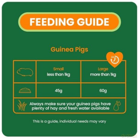 Burgess - Guinea pigs nuggets with Mint - 1.5 kg - best before 17th.dec-2026