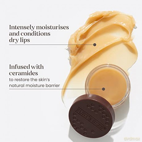 Burt's Bees - Overnight Lip Treatment