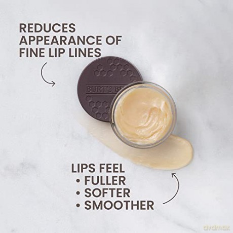 Burt's Bees - Overnight Lip Treatment