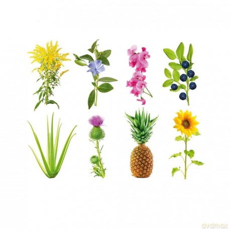 Click and Grow - Smart Garden Refill 3-pack - Experimental (SGR0X3)