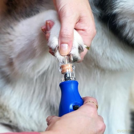 Szlifierka akumulatorowa Dremel - Pet Nail Care Kit 7350 -12000Rpm