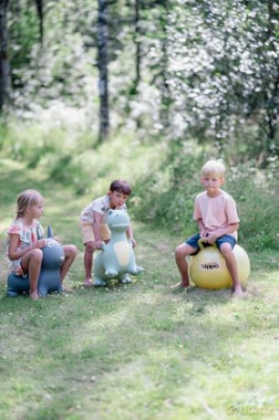 Find that hippo - Jumping animal - dinon (53100101)