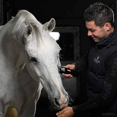 Heiniger - SaphirHorse - Cordless Horseclipper with 2 batteries