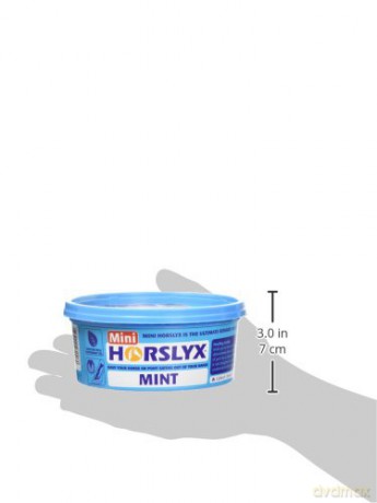 Horslyx - Mint Mini 650gr