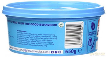 Horslyx - Mint Mini 650gr