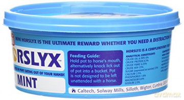 Horslyx - Mint Mini 650gr