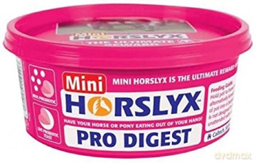 Lizawka Horslyx - Mobility Mini 650gr