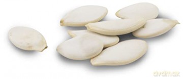 Jr Farm - Back to Instinct Snack Labyrint - 400g - 28 x 38 x 10 cm
