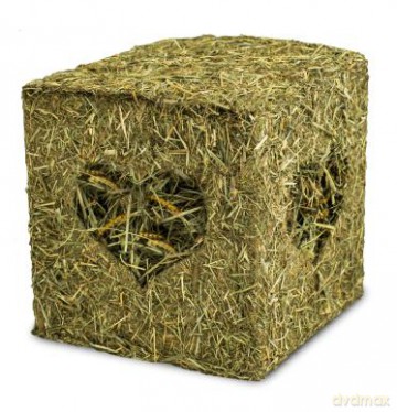 Jr Farm - Hay Cube with Mealworms - 12 x 12 cm
