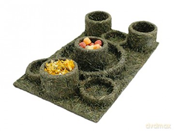 Jr Farm - JR Back to Instinct Amusement Park - 18  28  5 cm