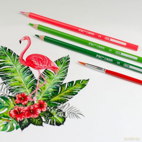 Kores - Watercolour Pencils - 12 Pack (793812)