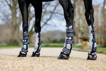 Lemieux - Arika Mesh Fly Boots - Navy/Grey - Cob