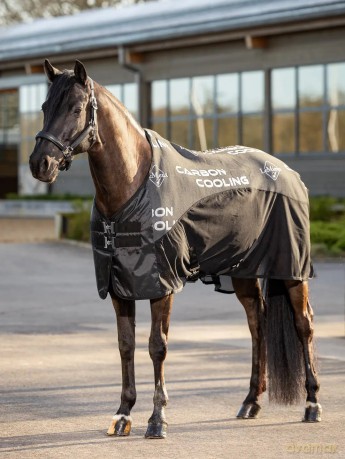 Lemieux - Carbon Cooler Rug - Black - 6'3