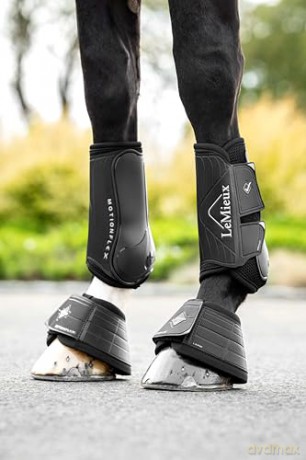 Lemieux - Motionflex Dressage Boot - Black - Medium