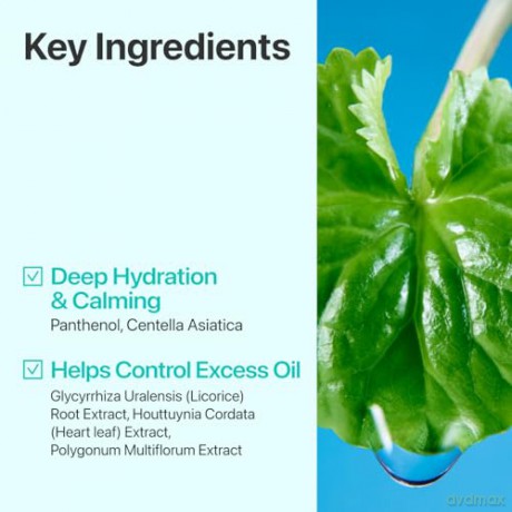 Numbuzin - No.1 Pure-full Calming Herb Toner