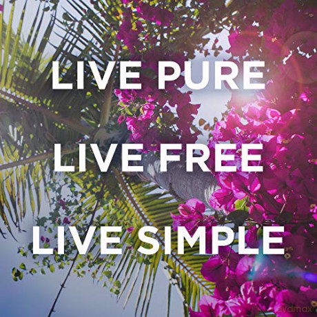 Petal Fresh - Pure Aloe Vera Makeup Removing Wipes