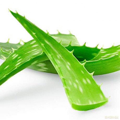 Petal Fresh - Pure Aloe Vera Makeup Removing Wipes