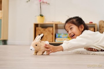 PetZoo - Rabbit with Movement (105890156)
