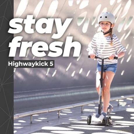 Scoot and Ride - Highwaykick 5 LED - Ash (HWK5CW08)