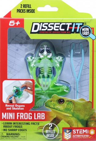 Sensory Compounds - Frog In Giftbox (12-38083) [FIGURKA]