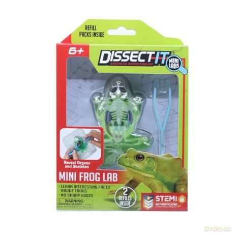 Sensory Compounds - Frog In Giftbox (12-38083) [FIGURKA]