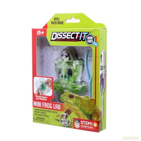 Sensory Compounds - Frog In Giftbox (12-38083) [FIGURKA]