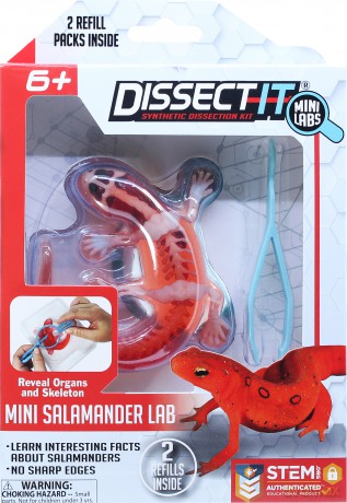 Sensory Compounds - Salamander In Giftbox (12-38085) [FIGURKA]