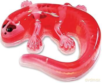 Sensory Compounds - Salamander In Giftbox (12-38085) [FIGURKA]