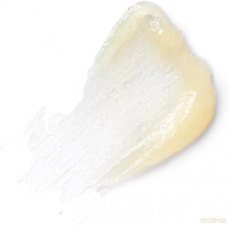 The Organic Pharmacy - Vitamin Protection Lip Balm (TOPSCALB00010)