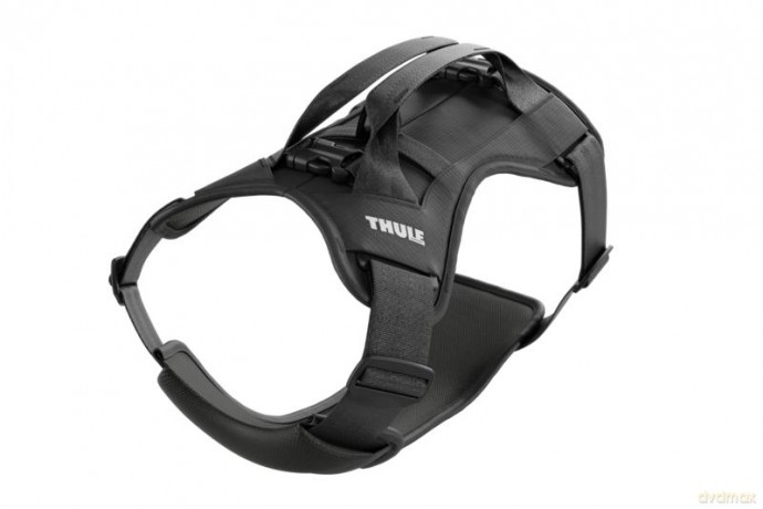 Thule - Cappy - Car Harness - S - up 11 kg
