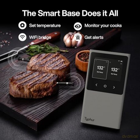 TYPHUR - Sync Dual Wireless Meat Thermometer