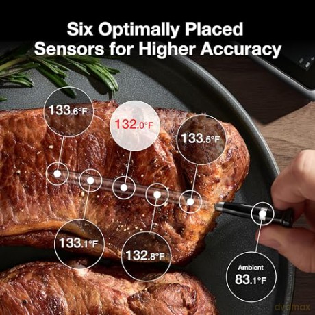 TYPHUR - Sync Dual Wireless Meat Thermometer
