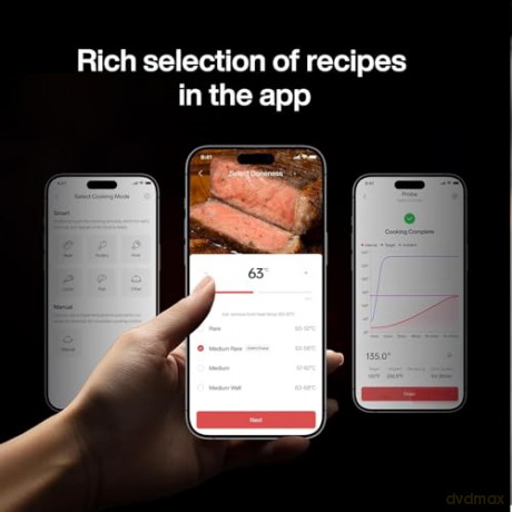 TYPHUR - Sync One Single Probe Smart Wireless Meat Thermometer - Bluetooth/WiFi Connection