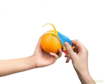Winkee - Citrus Peeler Parrot - Yellow, Blue, Red