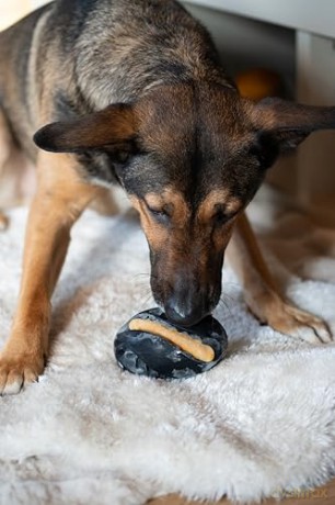 Zeus Chewcasers - Football