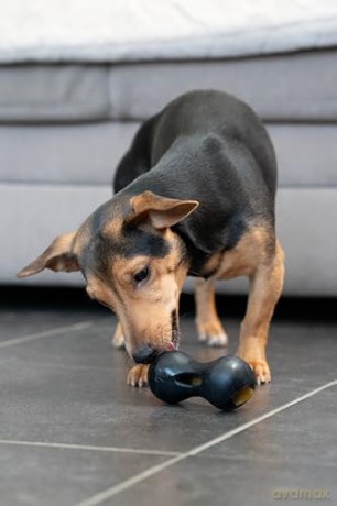 Zeus Chewcasers - Peanut - Small