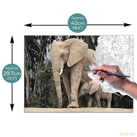 Zieler - Acrylic A3 - Paint By Numbers - Elephants (609299440)