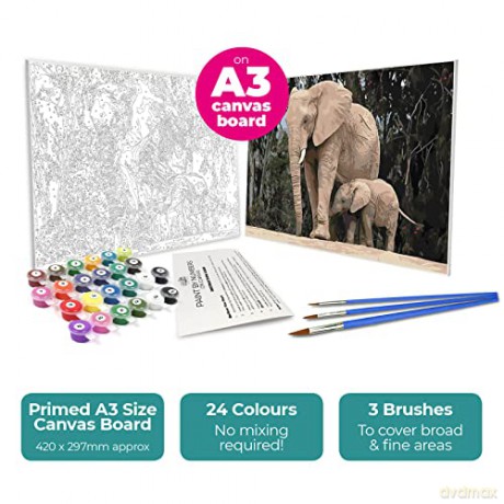 Zieler - Acrylic A3 - Paint By Numbers - Elephants (609299440)