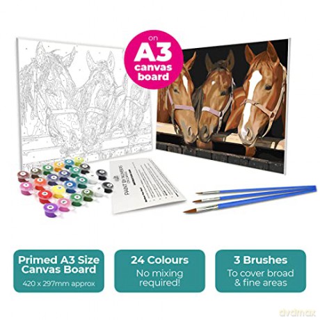 Zieler - Paint By Numbers - Horses (609299436)