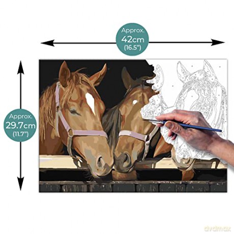Zieler - Paint By Numbers - Horses (609299436)