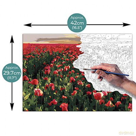 Zieler - Paint By Numbers - Meadow (609299441)
