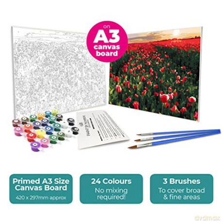 Zieler - Paint By Numbers - Meadow (609299441)