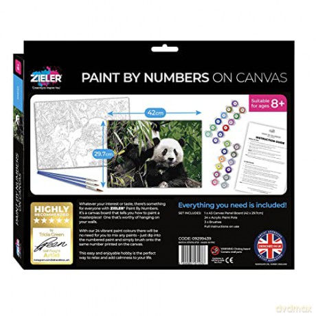 Zieler - Paint By Numbers - Panda (609299438)