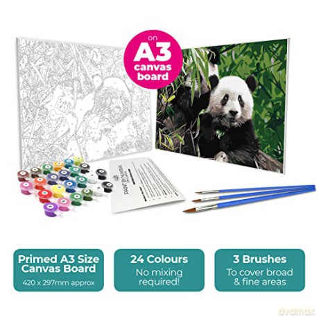 Zieler - Paint By Numbers - Panda (609299438)
