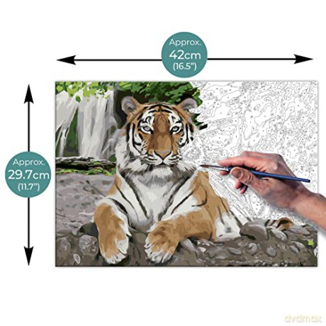Zieler - Paint By Numbers - Tiger (609299433)